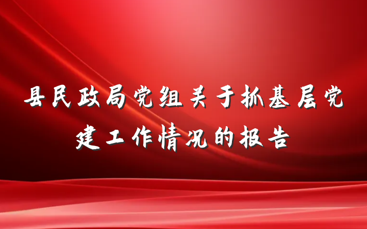 县民政局党组关于抓基层党建工作情况的报告