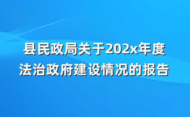 县民政局关于202x年度法治政府建设情况的报告