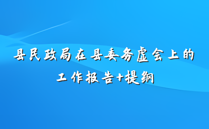 县民政局在县委务虚会上的工作报告 提纲
