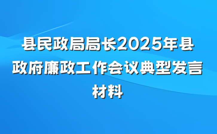 县民政局局长2025年县政府廉政工作会议典型发言材料