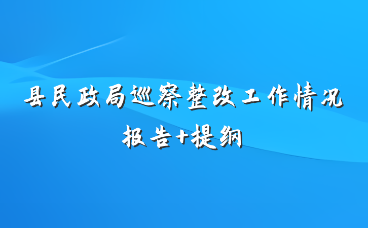 县民政局巡察整改工作情况报告 提纲