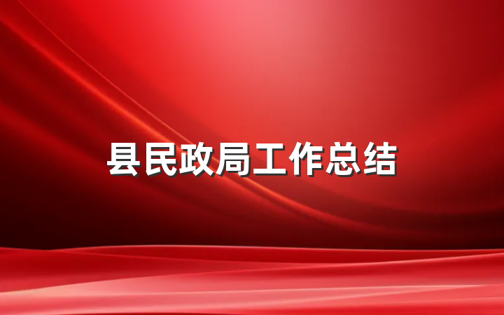 县民政局工作总结
