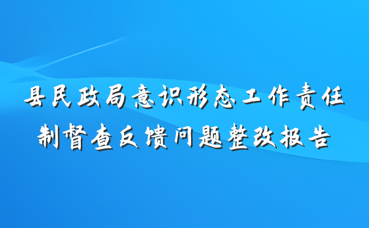 县民政局意识形态工作责任制督查反馈问题整改报告