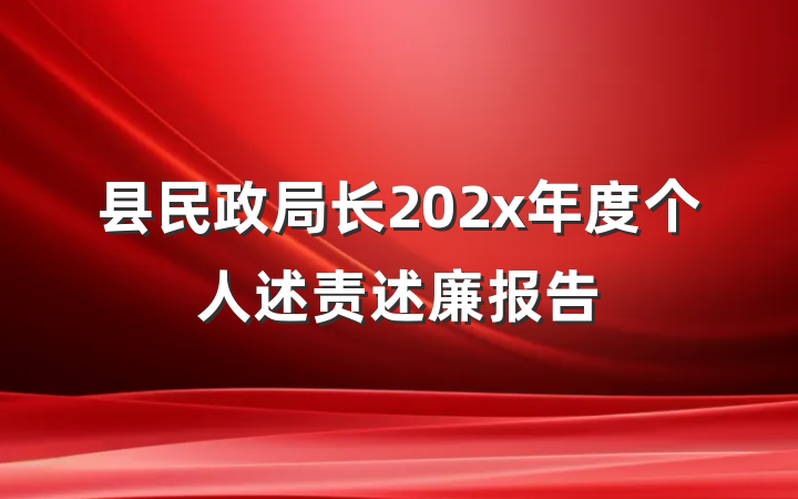 县民政局长202x年度个人述责述廉报告