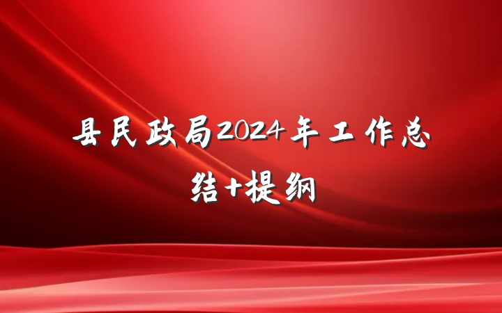 县民政局2024年工作总结 提纲