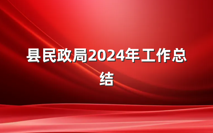 县民政局2024年工作总结