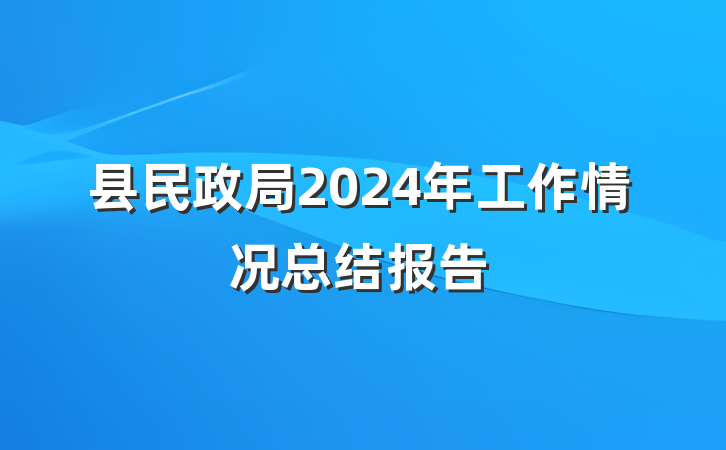 县民政局2024年工作情况总结报告