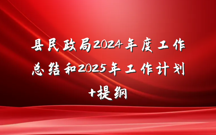 县民政局2024年度工作总结和2025年工作计划 提纲