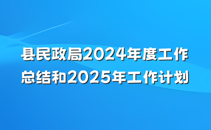 县民政局2024年度工作总结和2025年工作计划