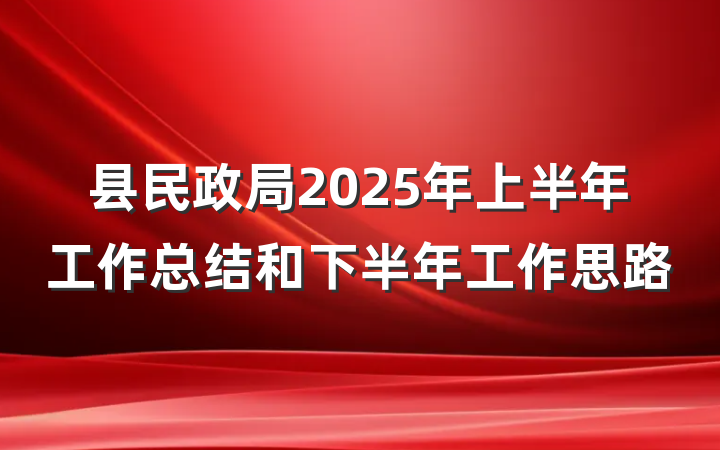 县民政局2025年上半年工作总结和下半年工作思路