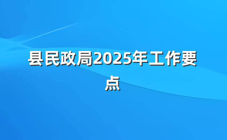 县民政局2025年工作要点