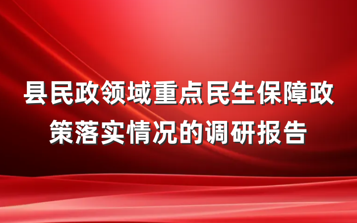县民政领域重点民生保障政策落实情况的调研报告