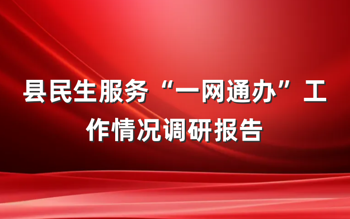 县民生服务“一网通办”工作情况调研报告