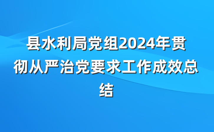 县水利局党组2024年贯彻从严治党要求工作成效总结