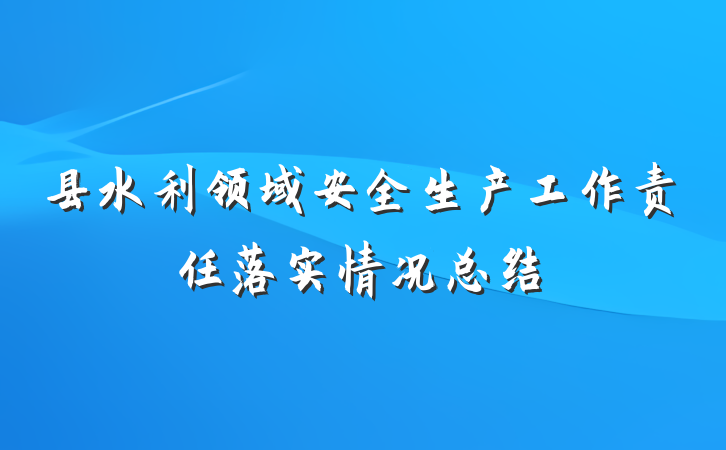 县水利领域安全生产工作责任落实情况总结