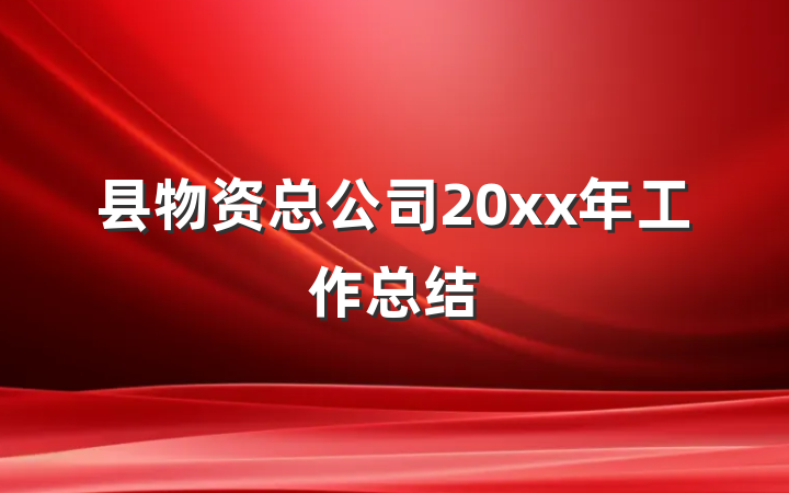 县物资总公司20xx年工作总结