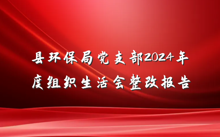 县环保局党支部2024年度组织生活会整改报告
