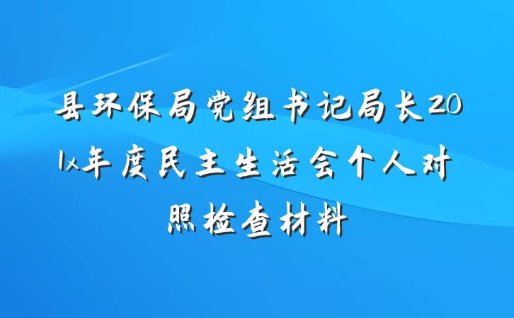 县环保局党组书记局长201x年度民主生活会个人对照检查材料