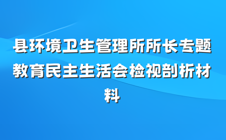 县环境卫生管理所所长专题教育民主生活会检视剖析材料