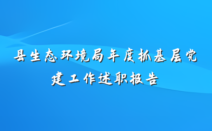 县生态环境局年度抓基层党建工作述职报告