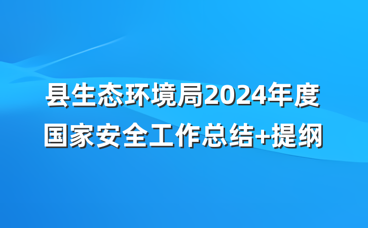 县生态环境局2024年度国家安全工作总结 提纲