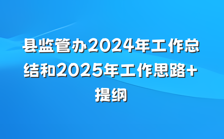 县监管办2024年工作总结和2025年工作思路 提纲