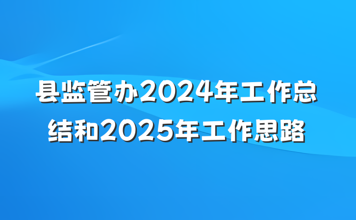 县监管办2024年工作总结和2025年工作思路