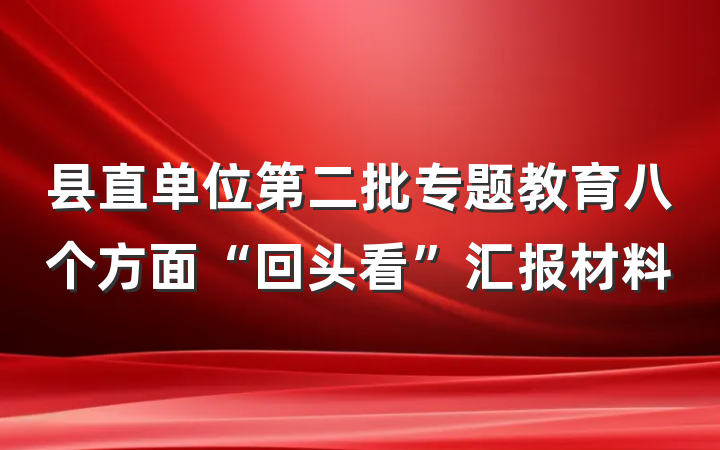 县直单位第二批专题教育八个方面“回头看”汇报材料