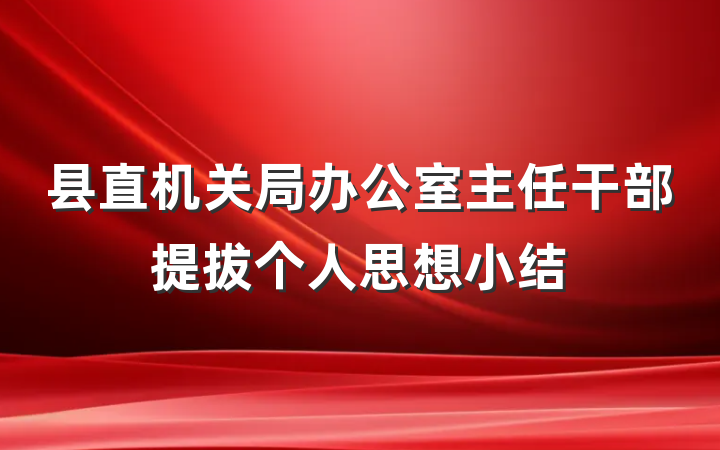 县直机关局办公室主任干部提拔个人思想小结