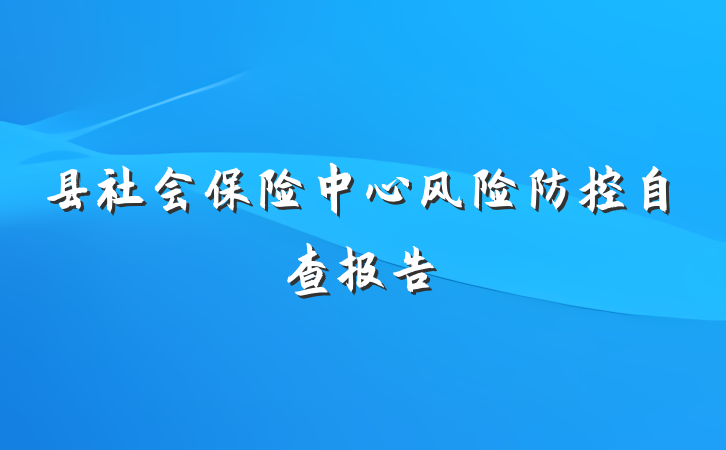 县社会保险中心风险防控自查报告