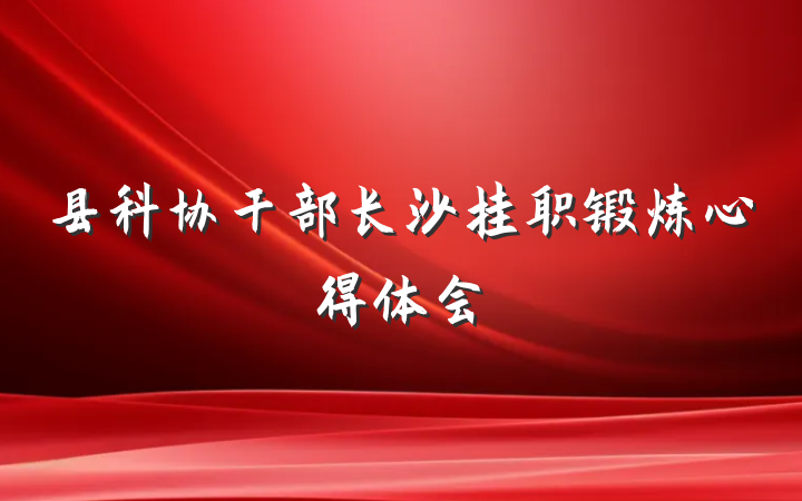 县科协干部长沙挂职锻炼心得体会