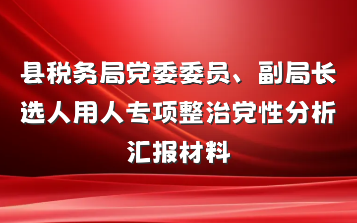 县税务局党委委员、副局长选人用人专项整治党性分析汇报材料