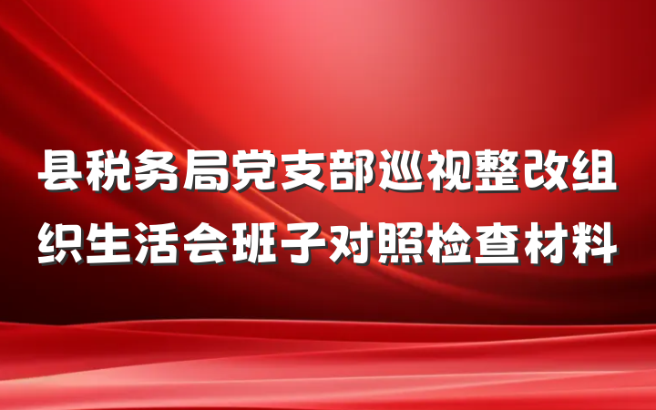 县税务局党支部巡视整改组织生活会班子对照检查材料