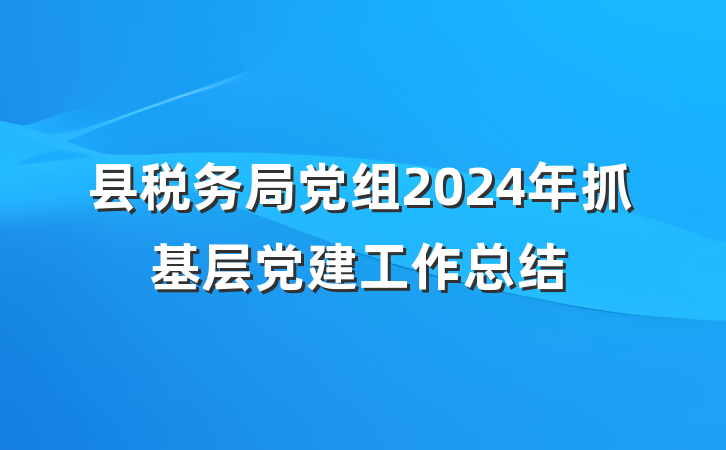 县税务局党组2024年抓基层党建工作总结