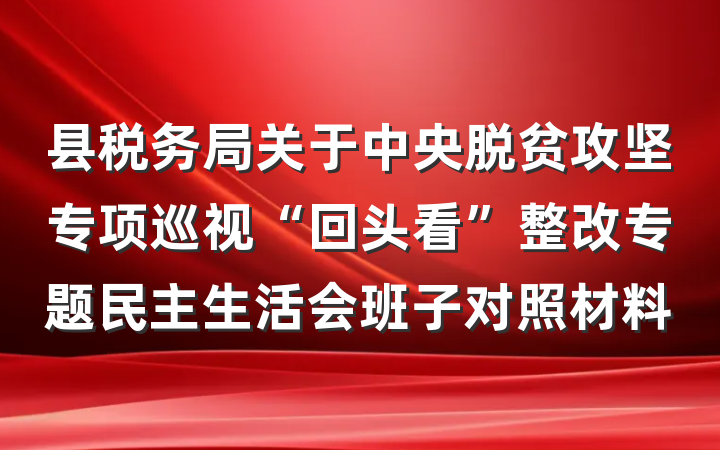 县税务局关于中央脱贫攻坚专项巡视“回头看”整改专题民主生活会班子对照材料