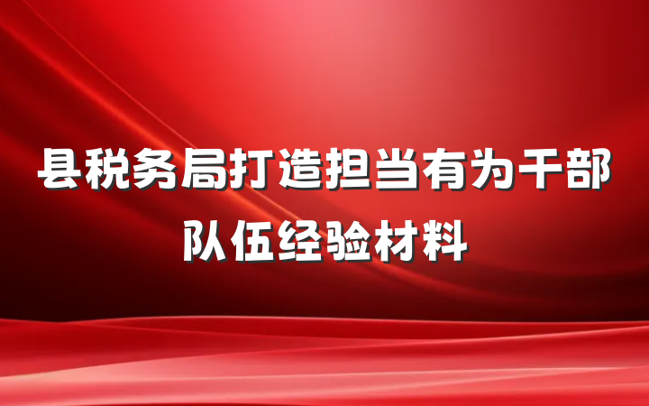 县税务局打造担当有为干部队伍经验材料
