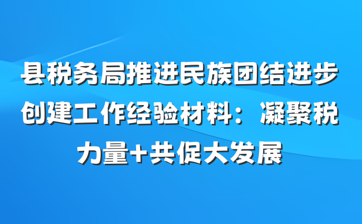 县税务局推进民族团结进步创建工作经验材料：凝聚税力量 共促大发展