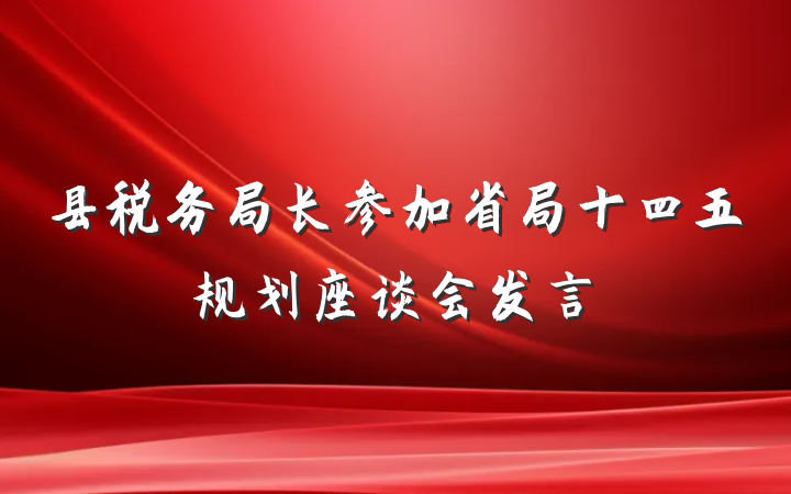县税务局长参加省局十四五规划座谈会发言