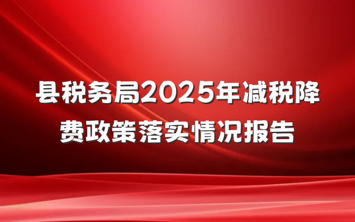 县税务局2025年减税降费政策落实情况报告