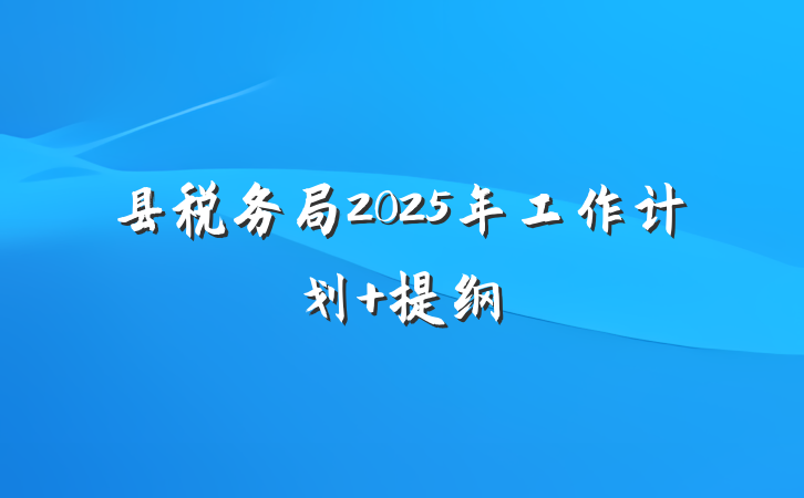 县税务局2025年工作计划 提纲