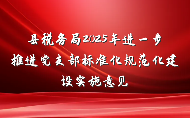 县税务局2025年进一步推进党支部标准化规范化建设实施意见