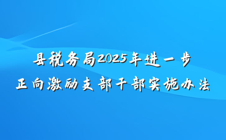 县税务局2025年进一步正向激励支部干部实施办法