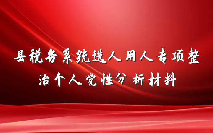 县税务系统选人用人专项整治个人党性分析材料