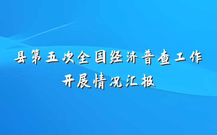 县第五次全国经济普查工作开展情况汇报