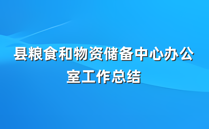县粮食和物资储备中心办公室工作总结