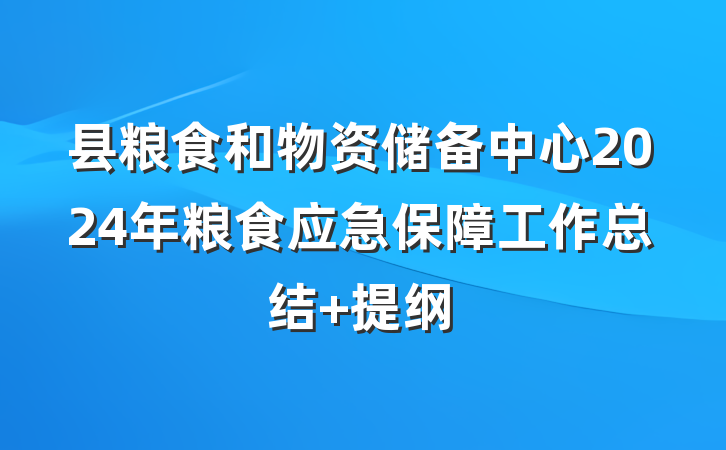 县粮食和物资储备中心2024年粮食应急保障工作总结 提纲