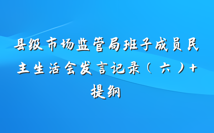县级市场监管局班子成员民主生活会发言记录（六） 提纲