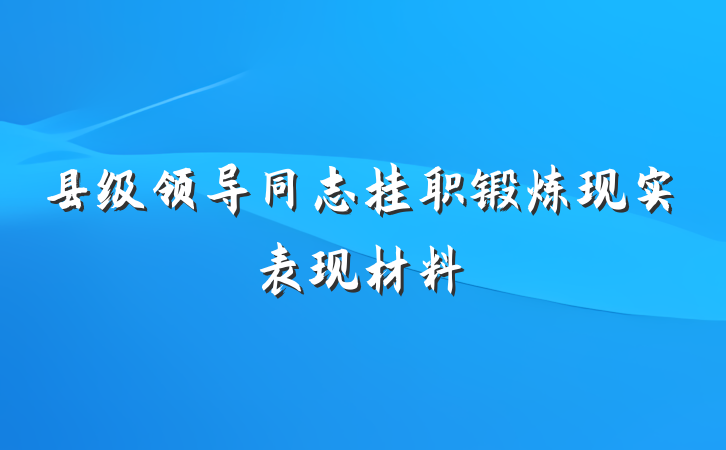 县级领导同志挂职锻炼现实表现材料