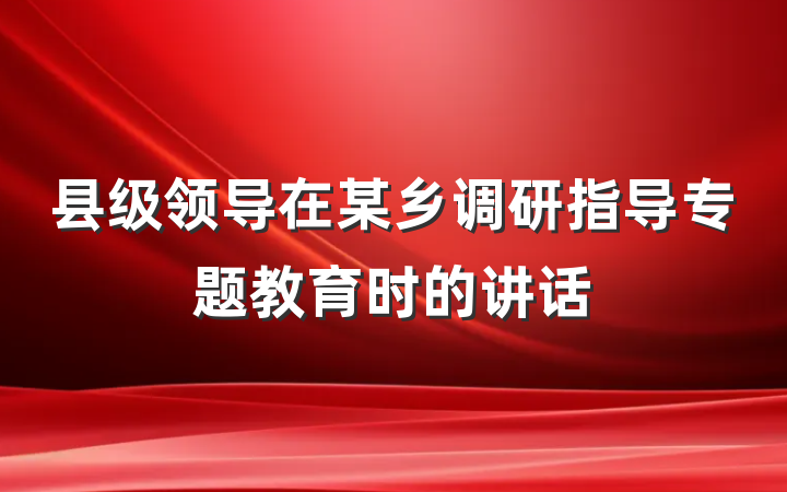 县级领导在某乡调研指导专题教育时的讲话