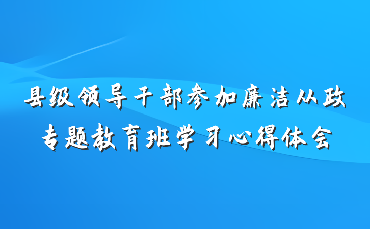 县级领导干部参加廉洁从政专题教育班学习心得体会
